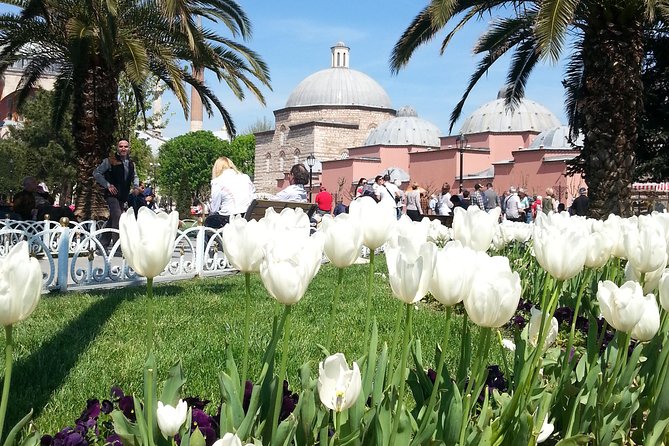 Istanbul Delights: A Journey Through Flavor and History - A 6-7 Hour Walk Through the Ottoman and Byzantine Center