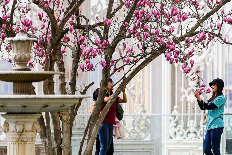 Istanbul: Dolmabahce Palace and Harem Fast-Track & Audio - Price and value at about $46, when it feels fair and when it doesn’t