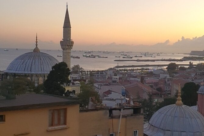 Istanbul famous sight Skip-the-Line Private Tour with LocalExpert - Hagia Sophia and Blue Mosque: what to watch for when a guide explains