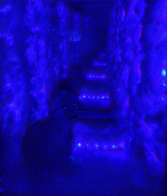 İstanbul: Frankenstein House of Horror, Escape Room Game - Who this experience suits best