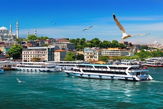 Istanbul Full Day Europe and Asia Sides Tour - The 15 July Martyrs Bridge and Fortress Photo Moments Across Europe and Asia