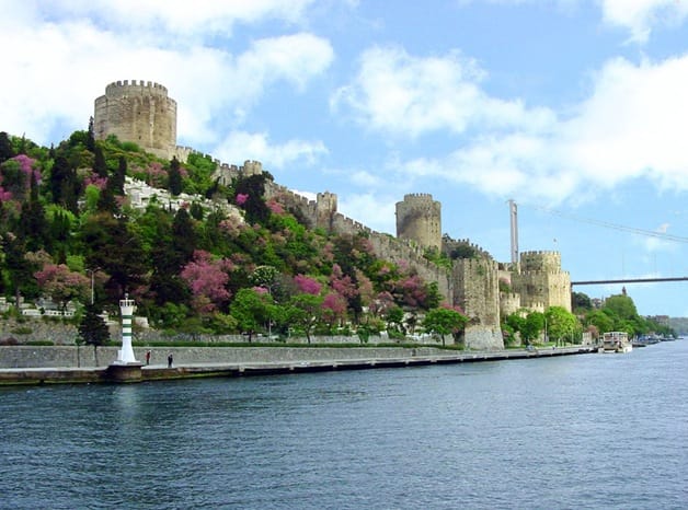 Istanbul Half-Day Tour and Bosphorus Cruise - Key things you will notice on this Bosphorus and Ottoman palaces tour