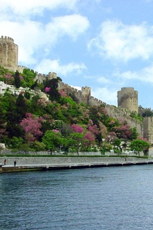 Istanbul Half-Day Tour and Bosphorus Cruise - A Bosphorus cruise that compresses the whole city into four hours