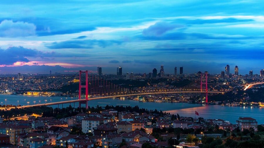 Istanbul Half-Day Tour and Bosphorus Cruise - Skip-the-line and entrance fees: where your $112 per person actually goes