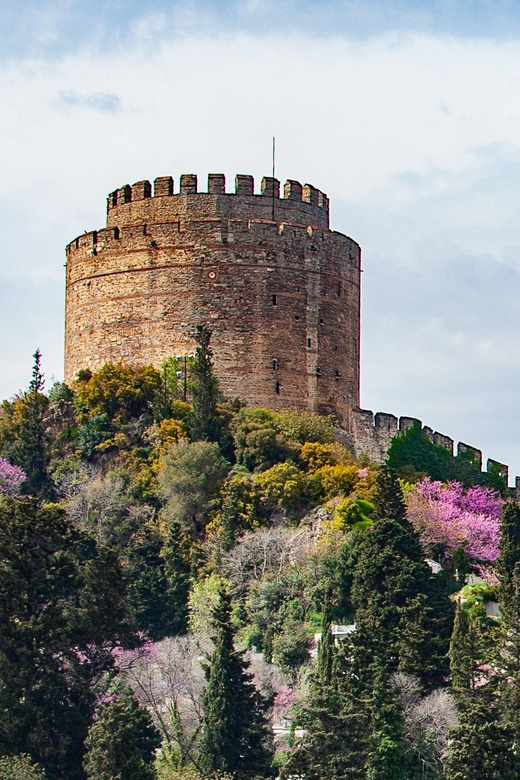Istanbul: Morning or Sunset Cruise with Guide and Snacks - Why this Bosphorus yacht cruise feels like a smart Istanbul shortcut
