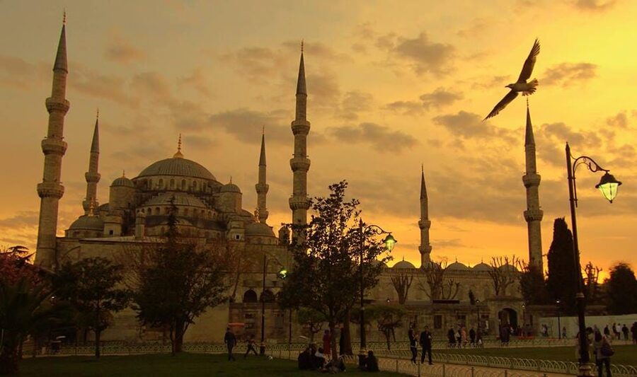 Istanbul: Old City Full-Day Tour -(Entry Fees Inculucing) - Blue Mosque tiles: photo angles and what to notice