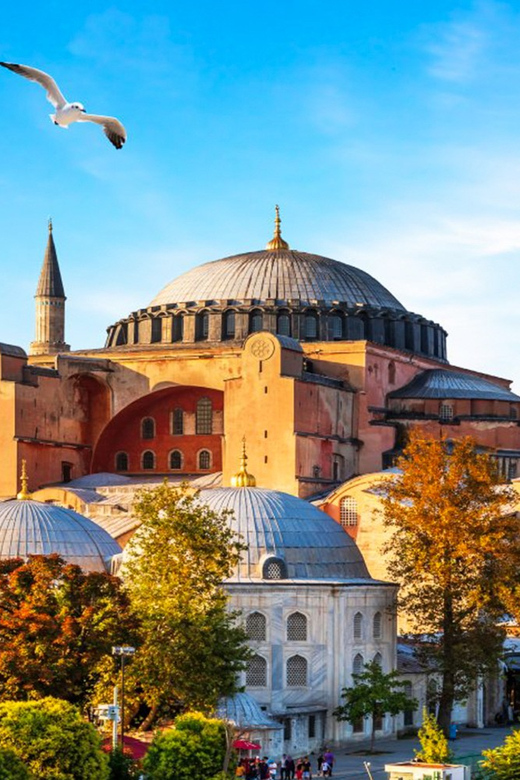 Istanbul: Old City Full-Day Tour -(Entry Fees Inculucing) - Grand Bazaar shopping visit: world’s oldest covered market, plus the pushiness factor