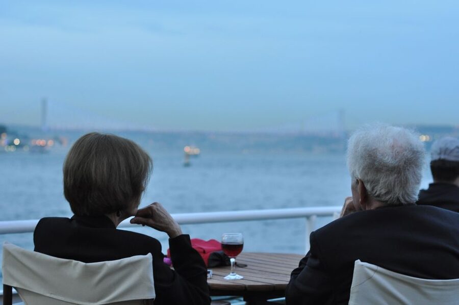 Istanbul: Pasha Istanbul Dinner Cruise - Golden Horn and Süleymaniye at night: the view you came for
