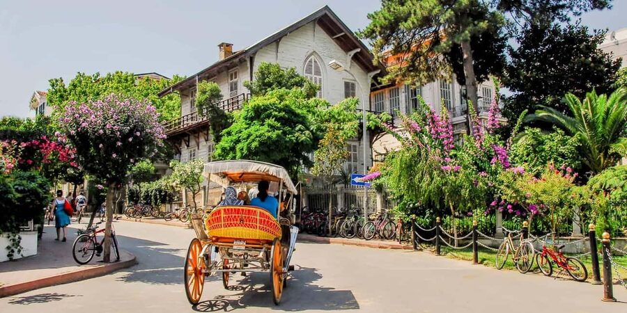 Istanbul Prince Island Cruise with Lunch & Free Time - Key Takeaways Before You Go