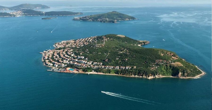 Istanbul Prince Island Cruise with Lunch & Free Time - Büyükada Free Time: Bikes, Pine Shade, and Island Pace