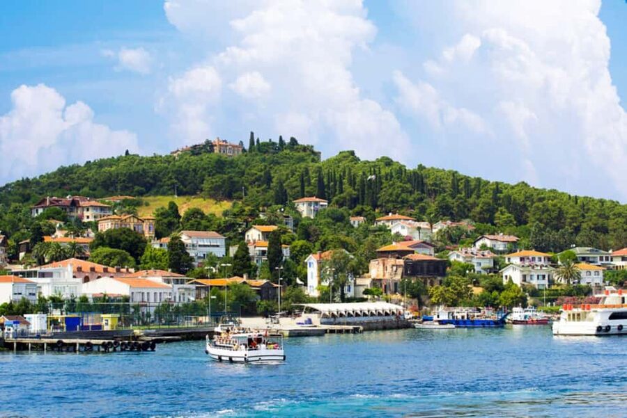 Istanbul Prince Island Cruise with Lunch & Free Time - Burgazada Free Time: Quiet Beaches, Less Rush, More Breathing Room