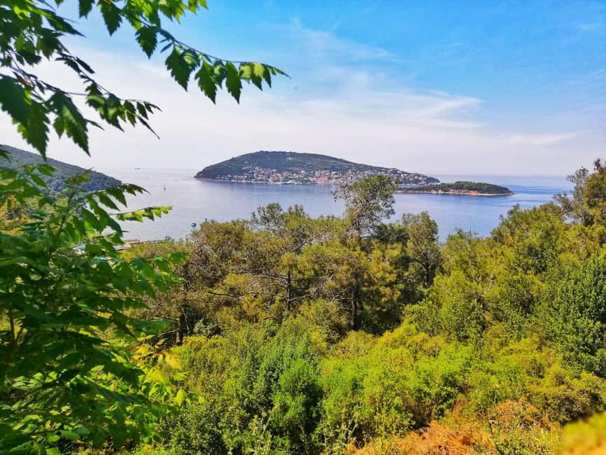 Istanbul: Prince islands Tour w/ Lunch and transfer options - Prince Islands by air-conditioned boat: why this trip works