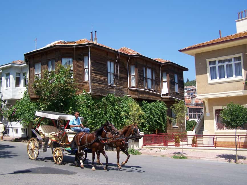 Istanbul: Prince islands Tour w/ Lunch and transfer options - What to bring, what rules you’ll follow, and who should skip this