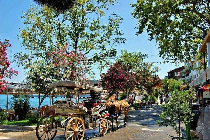 Istanbul Princes Island Tour with Lunch & Hotel Transfer - Key things to know before you go
