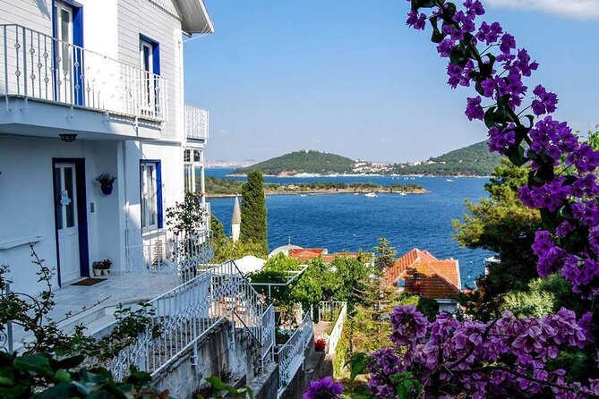 Istanbul Princes Island Tour with Lunch & Hotel Transfer - Ferry time and onboard lunch: the included comfort, plus the trade-offs