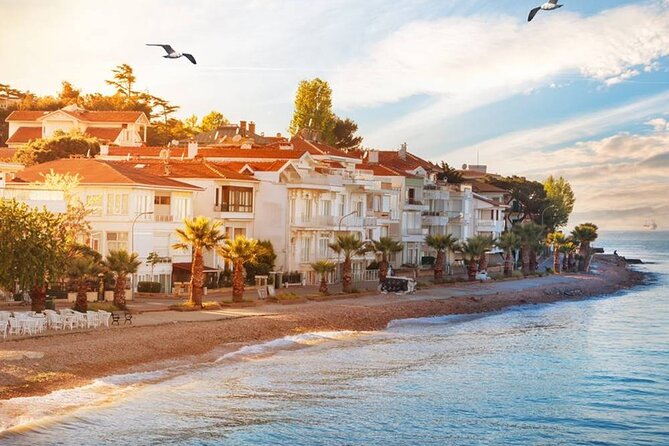 Istanbul Princes Island Tour with Lunch & Hotel Transfer - Value for $29.42: what you get, and what you might replace it with