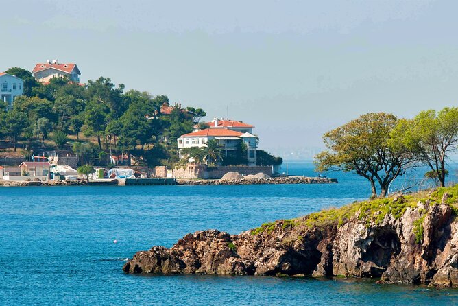Istanbul Princes’ Islands Boat Trip with Lunch - Buyukada First Stop: Lunch, Beach Time, and the Carriage Question