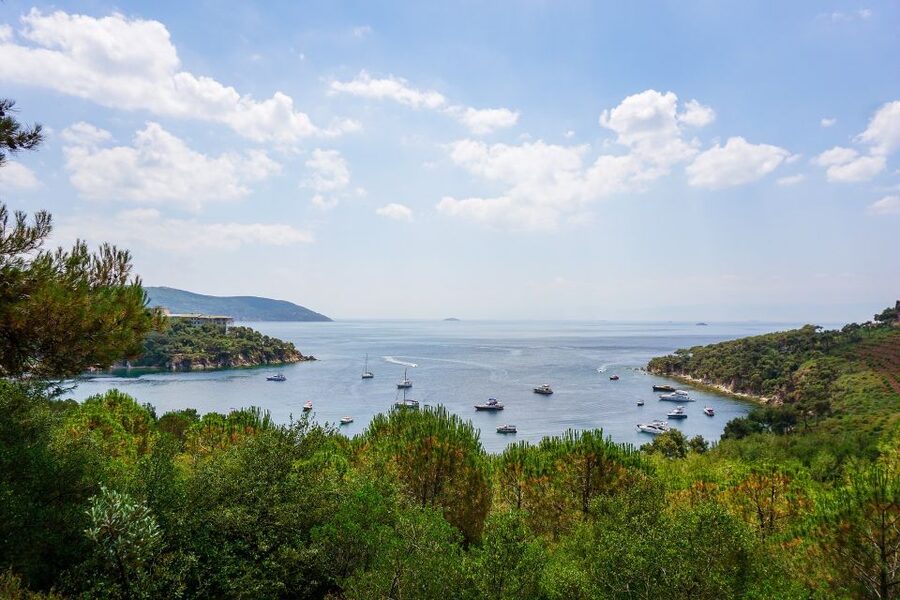 Istanbul: Princes' Islands Cruise w/Music, Lunch & Transfer - Key things I’d plan around
