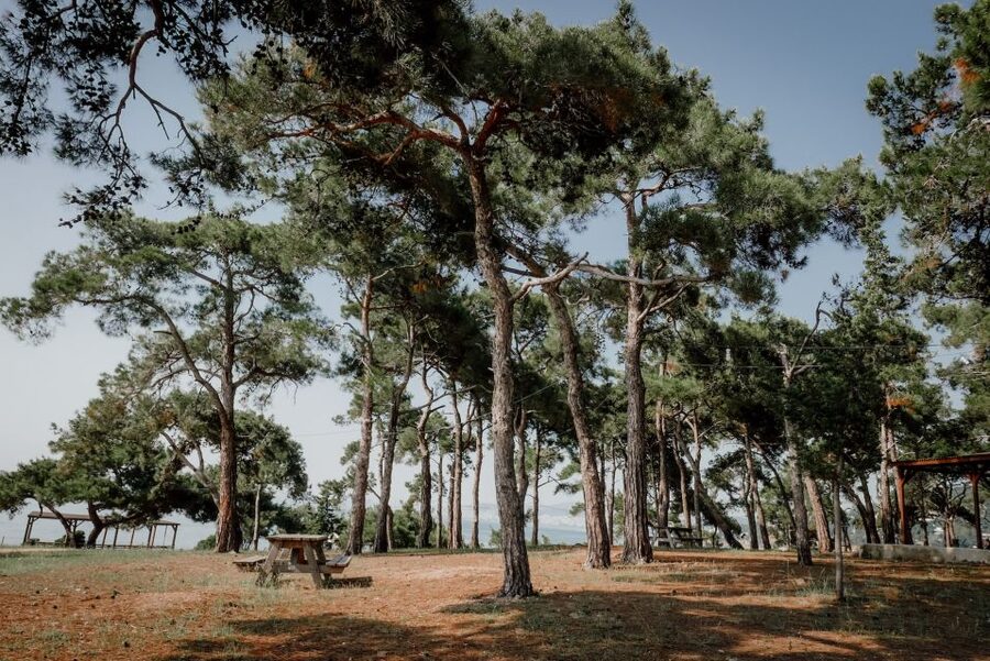 Istanbul: Princes' Islands Cruise w/Music, Lunch & Transfer - Kınalıada walking tour: hills, calm streets, and photo stops