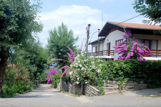 Istanbul: Princes Islands Tour with Heybeliada and Büyükada - Kınalıada: Armenian summer rhythms, beaches, and a monastery on a hill