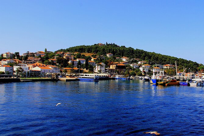 Istanbul: Princes Islands Tour with Heybeliada and Büyükada - Price and value: $29.96 makes sense only if you use the included perks