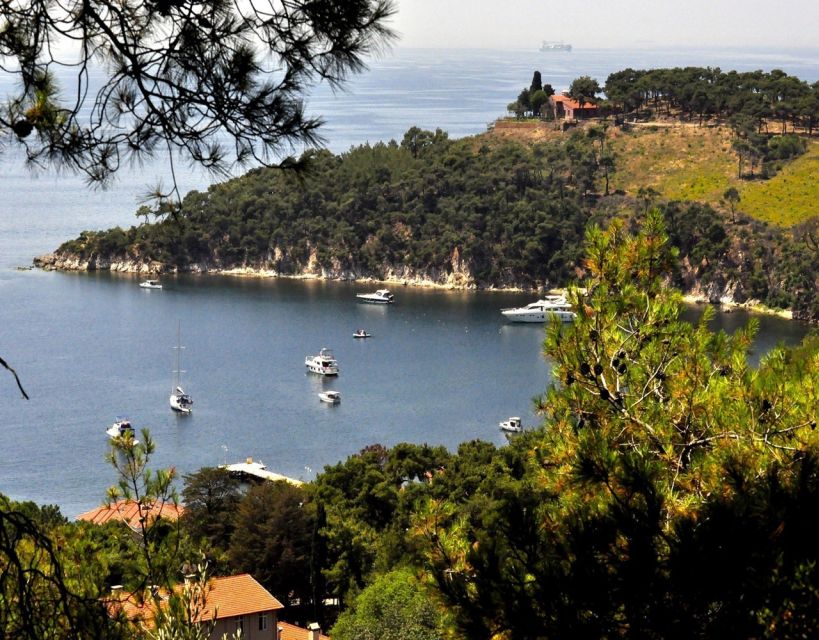 Istanbul: Princes' Islands Tour with Lunch and Transfers - The return trip, shopping time, and the free leather stop