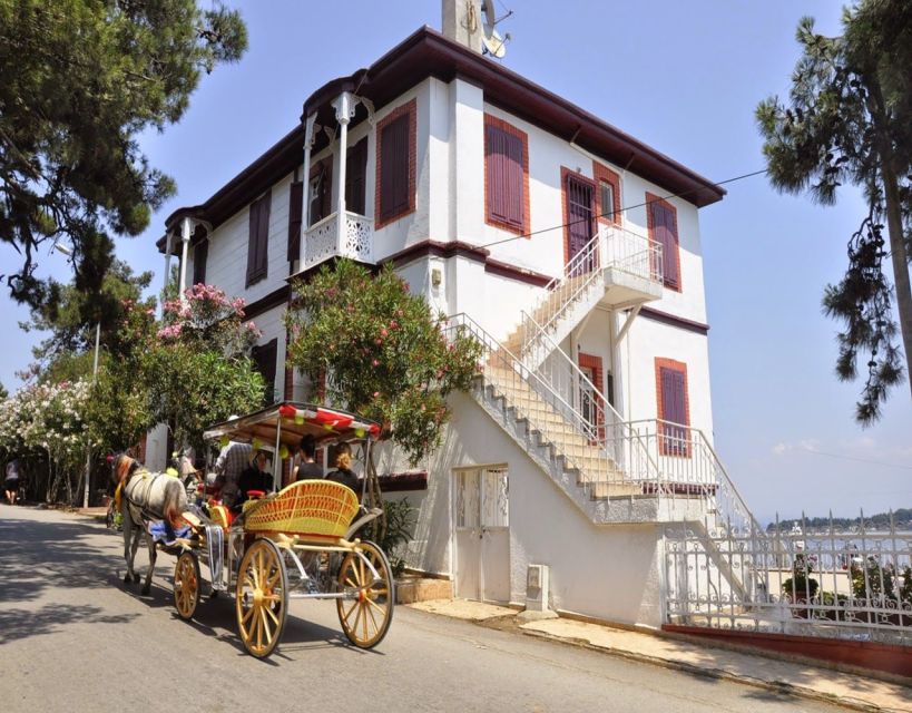 Istanbul: Princes' Islands Tour with Lunch and Transfers - Swimming, pine shade, and the slow rhythm after lunch
