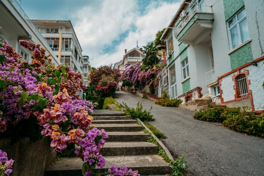 Istanbul: Princes Islands Walking Full-Day Tour - Key things that make this tour work