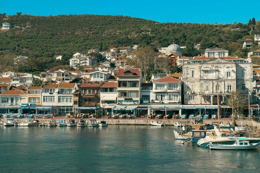 Istanbul: Princes Islands Walking Full-Day Tour - Ferry-to-island day trips: why Büyükada hits different