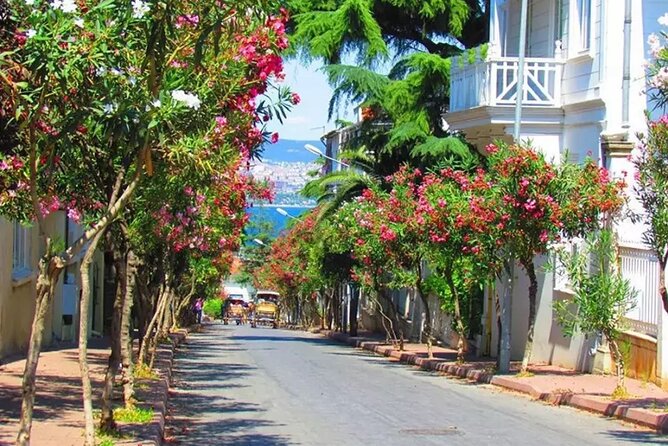 Istanbul Princess Island Tour Include Lunch and Island Car Trip - Key points I think you will care about