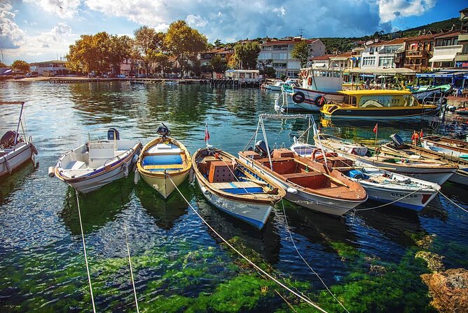Istanbul Princess Island Tour Include Lunch and Island Car Trip - Exploring Büyükada for about two hours: quiet streets, shops, and unhurried time