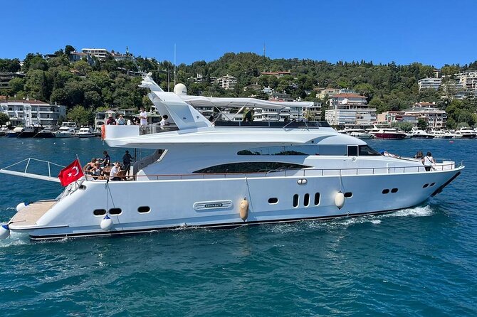Istanbul Private Bosphorus Breakfast Cruise on Yacht - Your 2-hour Bosphorus run: what you see on the strait