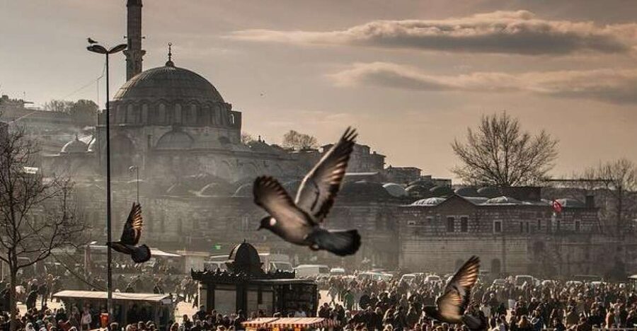 Istanbul: Private Full-Day Old City Highlights Tour - Key Highlights Worth Planning For