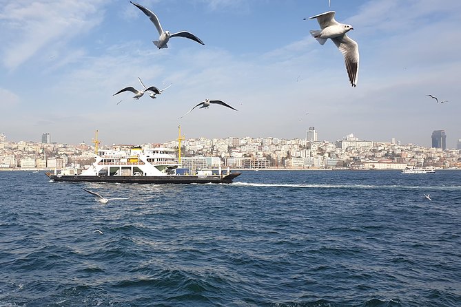 Istanbul Private Guided Tour for Layover Flight. Transfer incl. - Stop 1 and 2: Hippodrome Energy, Then Blue Mosque Timing