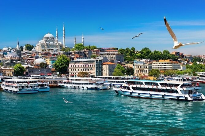 Istanbul Private Tour from Cruise Port - Floorshow Night: belly dancers and Anatolian folklore with audience energy