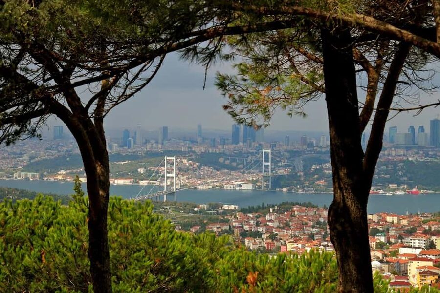Istanbul: Private Tour of Bosphorus & Asian Side - Çamlıca Mosque and Camlıca Hill: big views with a spiritual centerpiece