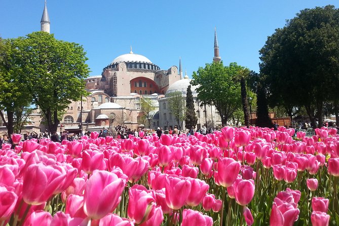 Istanbul Private Tours: 1, 2 or 3 Day Highlights - Short stops that add texture: Caferaga Medresesi and the Basilica Cistern