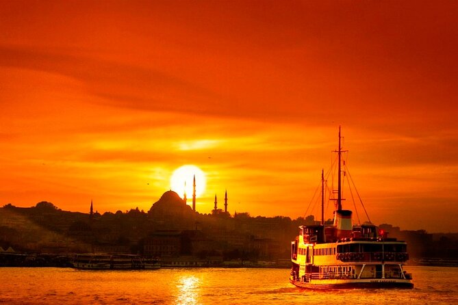 Istanbul Private Transfer from City Hotels to Cruise port - Arriving at the Cruise Port: Dockside Help and Your Next Moves