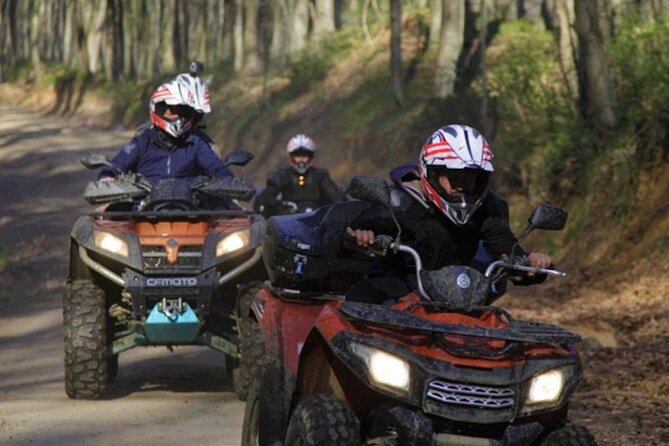 Istanbul Quad Bike Safari with Optional Zipline Experience - Belgrad Forest Safari: why this setup works
