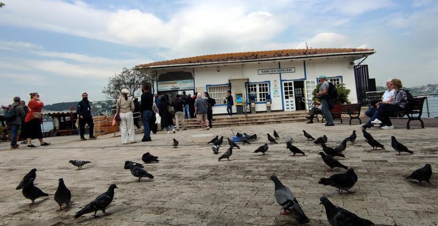 Istanbul Revealed: Historic Pathways and Bosphorus Serenity - Bosphorus yacht cruise to Kanlıca: calm water, big views