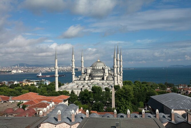 Istanbul Shore Excursion by TRAM: Half Day Private Tour from Port - Hagia Sophia Grand Mosque: mosaics, legends, and timing that works