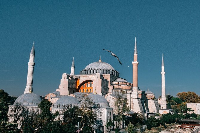Istanbul Shore Excursion by TRAM: Half Day Private Tour from Port - Hippodrome quick look, then the Grand Bazaar power hour