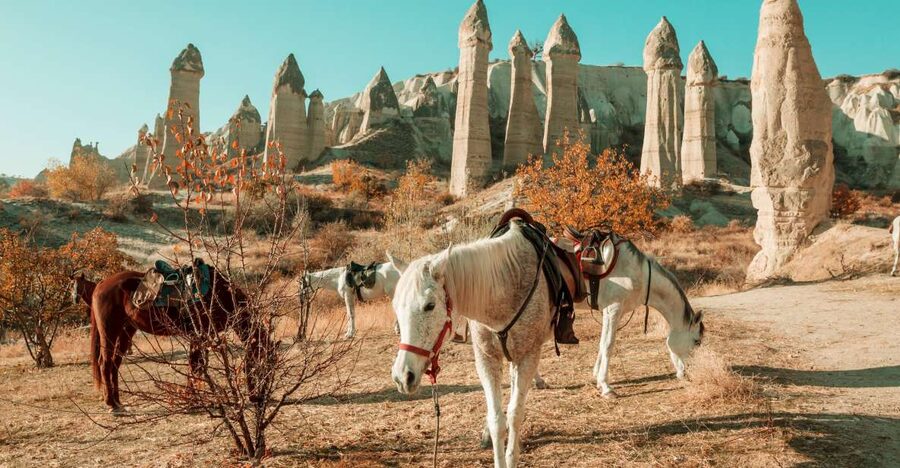 Istanbul to Cappadocia All Inclusive Private Day Tour - Key Things That Make This Day Tour Worth Your Attention