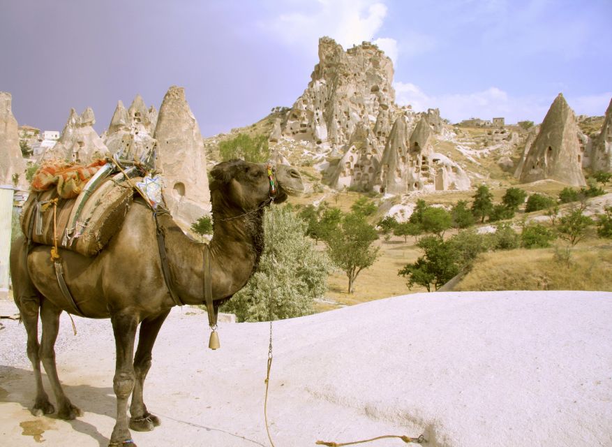 Istanbul to Cappadocia All Inclusive Private Day Tour - Pasabag Fairy Chimneys: The Classic Cappadocia Shape