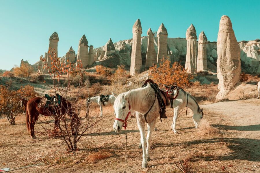 Istanbul to Cappadocia All Inclusive Private Day Tour - The Schedule You’re Signing Up For: Istanbul Pickup, Flights, and a Late Drop-Off