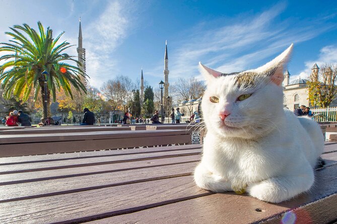 Istanbul Walking Tour with Audioguide on Your Smartphone - Stop-by-stop: what you’ll see and what to watch for