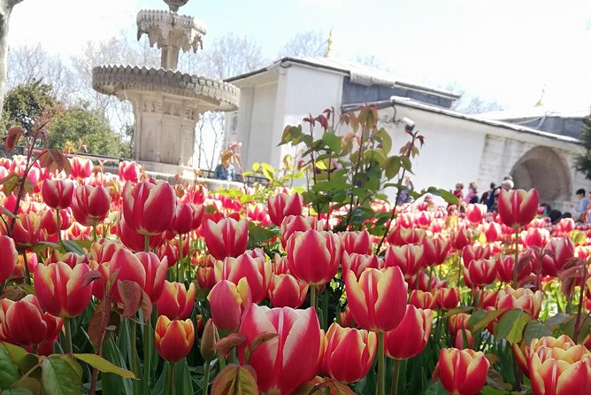 Most famous sites of Istanbul - Start at Hurrem Sultan Hammam, Not a Random Corner