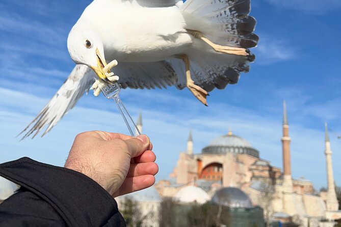 Multi 2 Days Private Guided Istanbul Iconic Landmarks City Tour - Pacing tips so you do not get rushed on day one