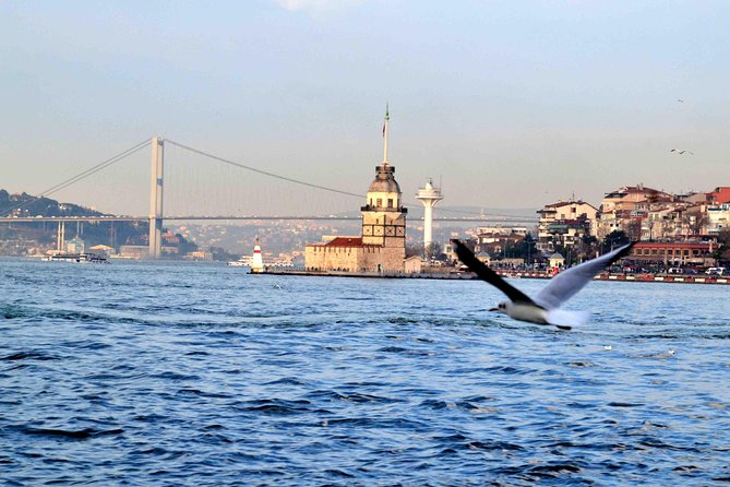 Panoramic City Tour with Bosphorus Strait Sightseeing Cruise - What you get for $42.10, and who it’s really for