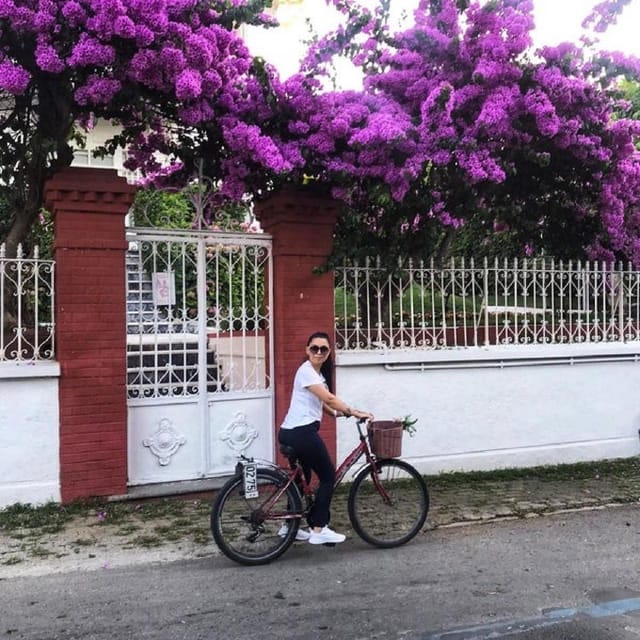 Prince's Island Group Tour - Buggy Tour Option: When It’s Worth Paying Extra